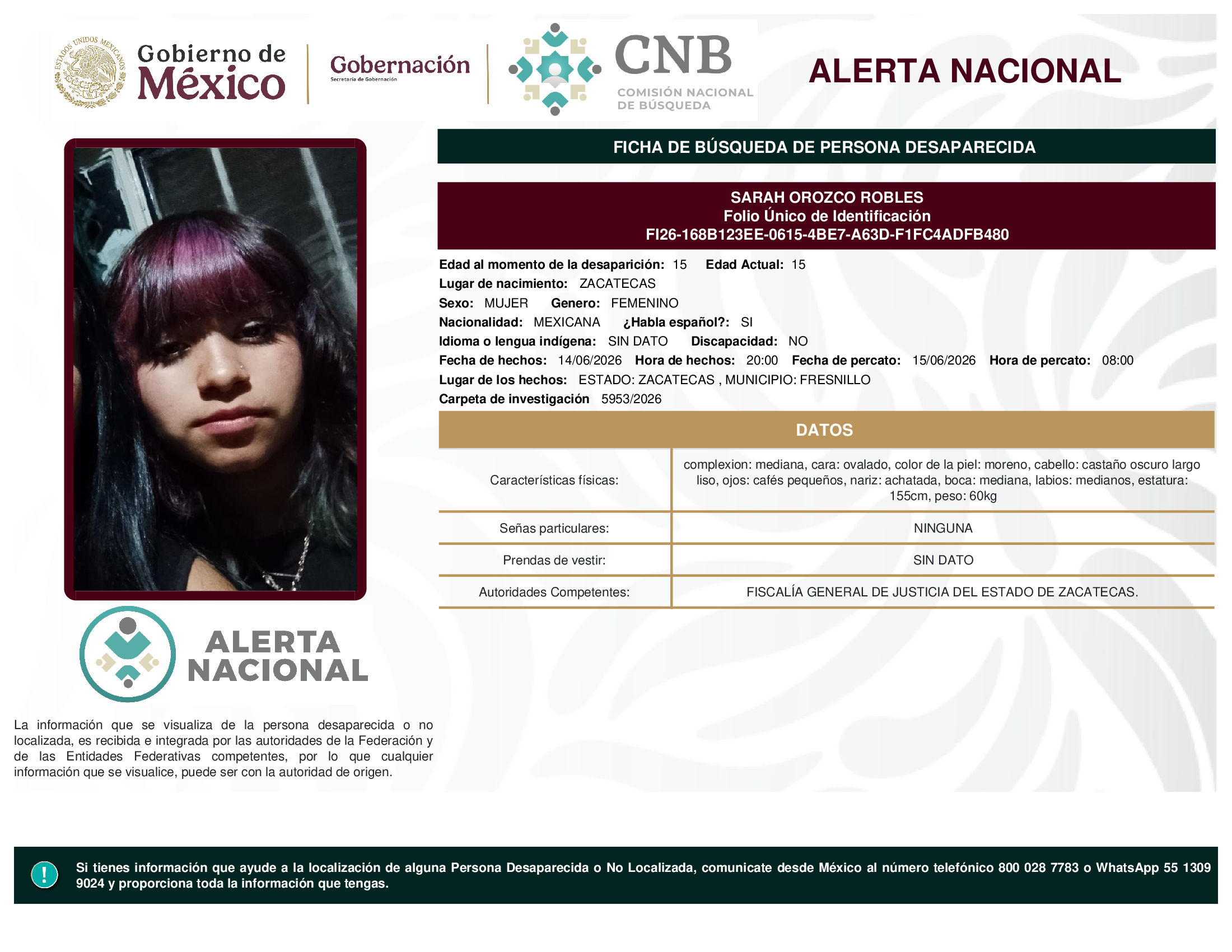 Css Template Preview
