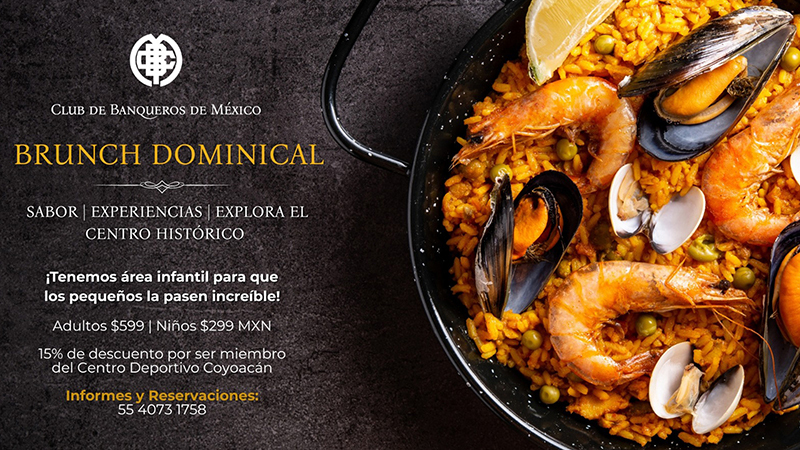 Css Template Preview