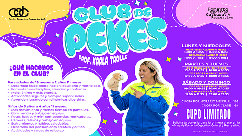 Css Template Preview