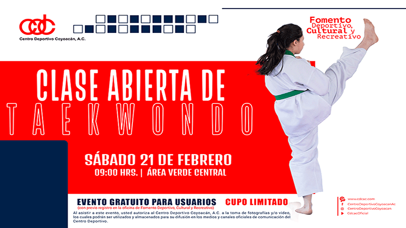 Css Template Preview