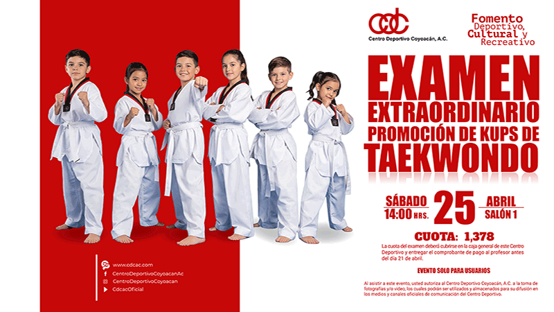 Css Template Preview