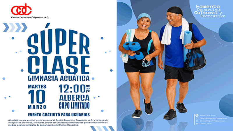 Css Template Preview