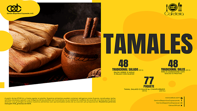 Css Template Preview