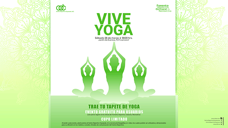 Css Template Preview