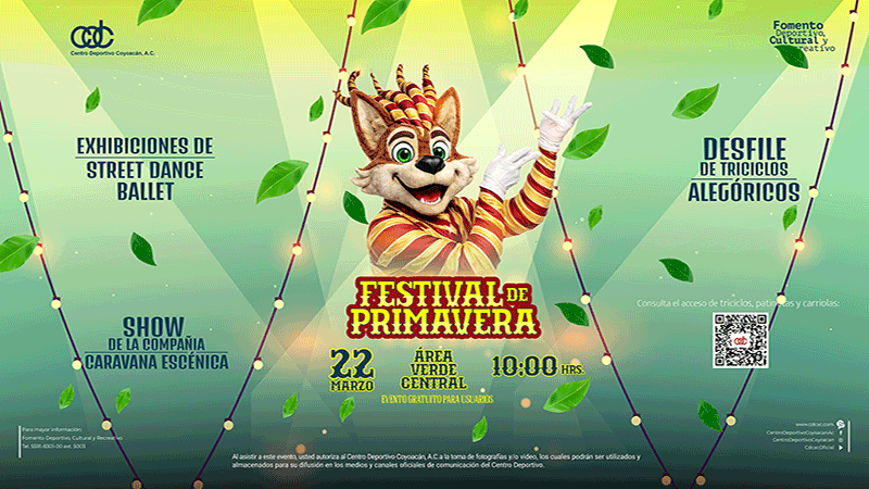 Css Template Preview